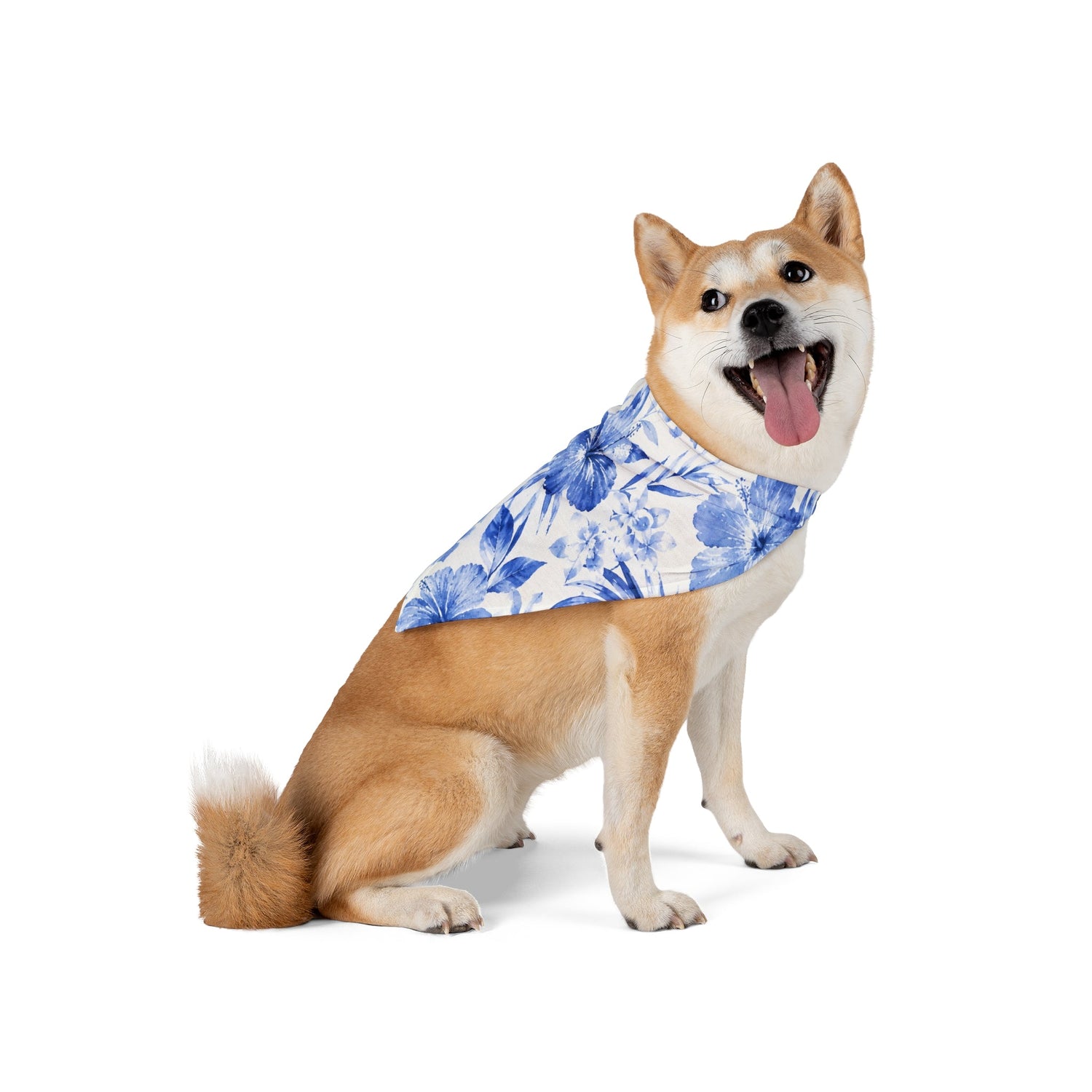 Dog accessories