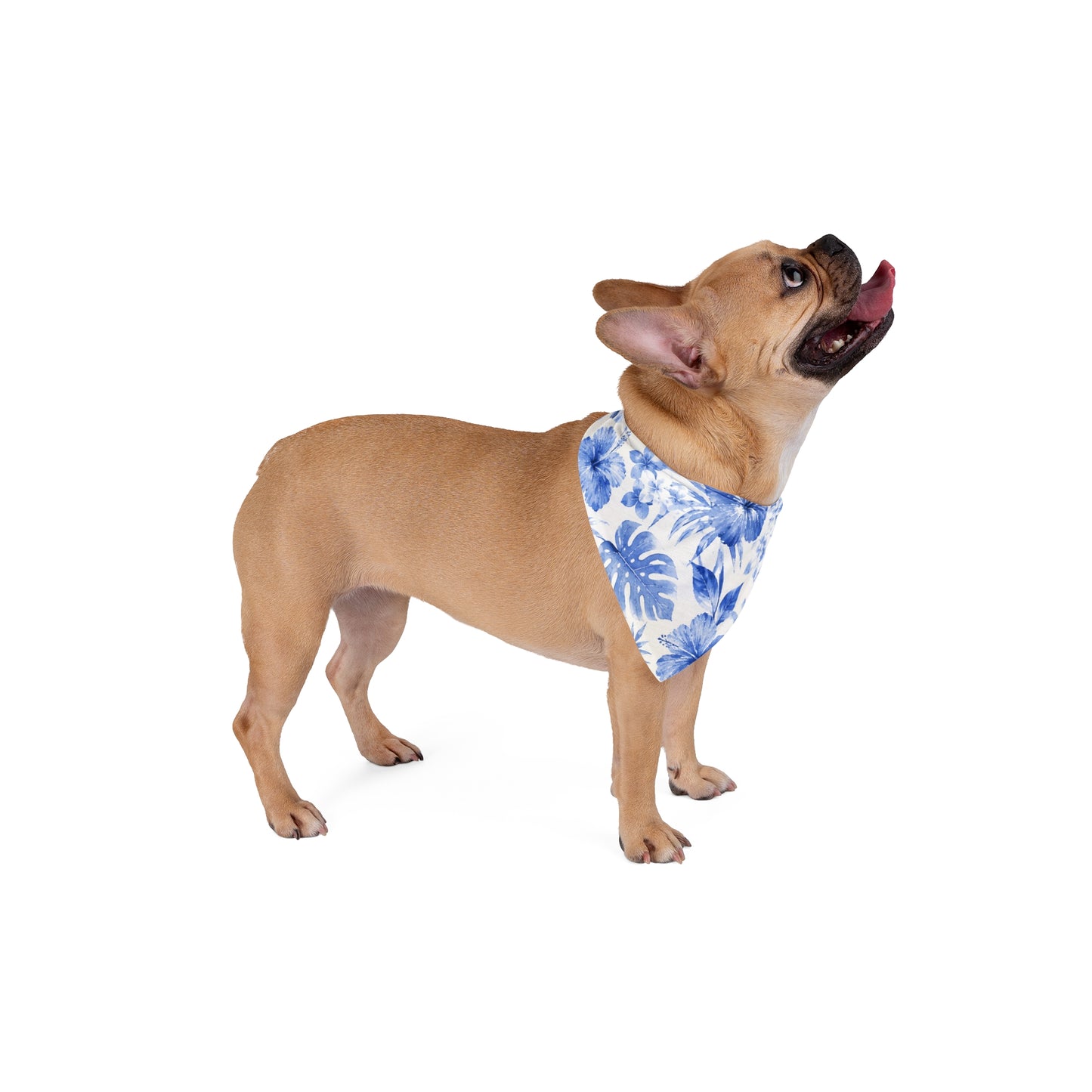 Blue Watercolor Hibiscus Pet Bandana | Tropical Floral Triangle Scarf
